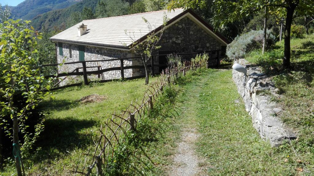 Agriturismo Il Mulino Stibiveri Exteriör bild